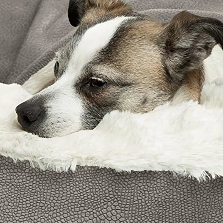 Cozy Pet Essentials